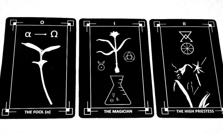 What's the Difference Between a Tarot Deck and an Oracle Deck? – Inkwood  Tarot